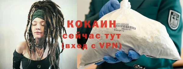 гашик Нягань