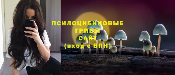 гашик Нягань