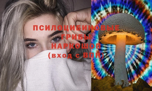 трава Бабаево