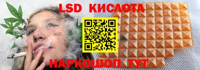 индика Новозыбков