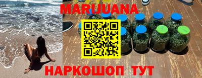 индика Новозыбков
