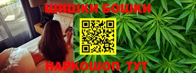индика Новозыбков