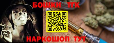 ешки Новодвинск