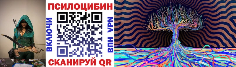 Галлюциногенные грибы Psilocybine cubensis  Шумерля 