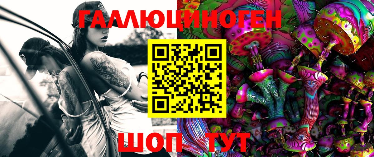 Шумерля  Псилоцибиновые грибы Psilocybe  Вход с VPN 